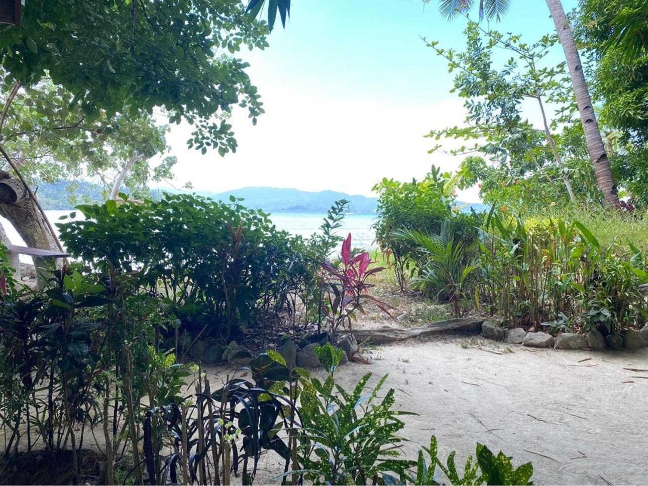 Port Barton - Paradiso Azul Campsite Beachfront With Internet 圣维森特 外观 照片